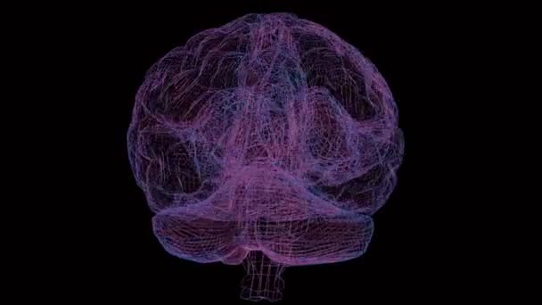 さまざまな色と興味深いイメージを持つ3Dホログラフィック脳は 魅力的でダイナミックなビジュアル表現を作成します — ストック動画