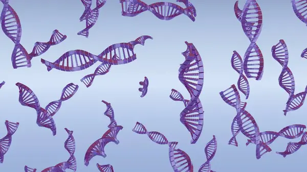 Concept of the evolution of human DNA in the distant future