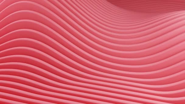 Fluid Pink Waves Ritmische Schoonheid Van Abstracte Patronen — Stockvideo