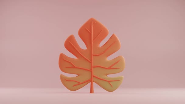 Elegancki Liść Monstera Gradientowej Pomarańczy Elegancka Rzeźba Botaniczna — Wideo stockowe
