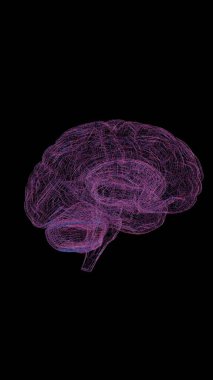 3D holographic brain with various colors and an intriguing image, creating a captivating and dynamic visual representation.	