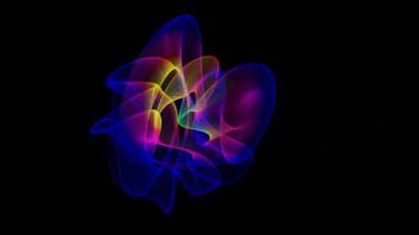 Siyah arkaplanda renkli bir çiçek