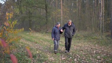 Yaşlı çift bir sonbahar günü parkta walki yapıyor. 60 yaşın üstündeki insanlar, gençlik çağında. Yüksek kaliteli FullHD görüntüler