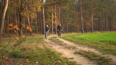 Sonbaharda bir sonbahar günü bisiklet süren birkaç emekli. 60 yaşın üstündeki insanlar, gençlik çağında. Yüksek kaliteli FullHD görüntüler