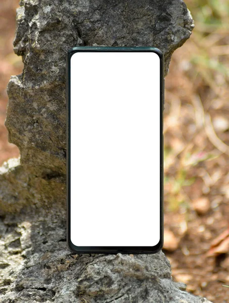 自然コンセプトのスマートフォン モックアップの背景 — ストック写真