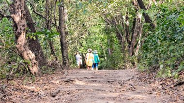 Playa Venao, Panama - February 2, 2023: Tourists entering trail connecting Playa Venao and Playa Playito inAzuero Peninsula.