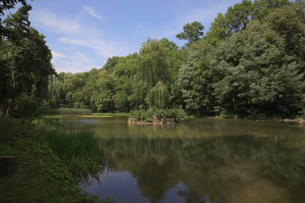 우크라이나 리브스 마을에 리브스 공원의 어려울 정도로 아름다운 연못이다 공원은 — 스톡 사진