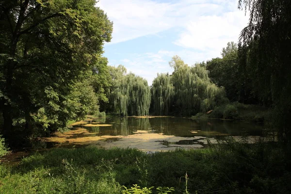우크라이나 리브스 마을에 리브스 공원의 어려울 정도로 아름다운 연못이다 공원은 — 스톡 사진