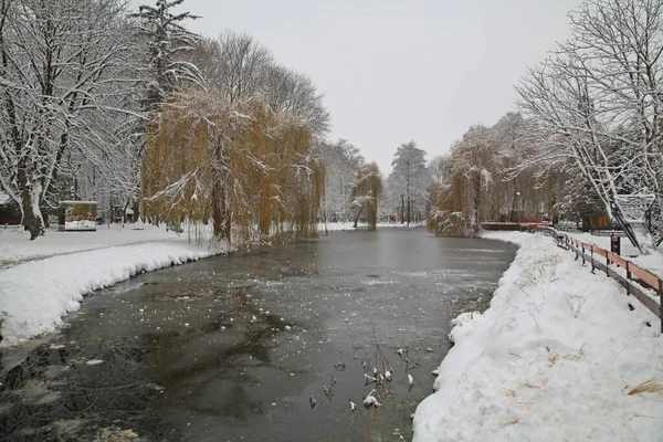 Snowy Winter Chekman Park Largest Park City Khmelnytskyi Ukraine — Stock Photo, Image