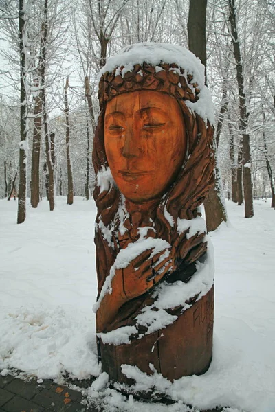 stock image Wooden statues covered with snow in the Chekman park in the city of Khmelnytskyi, Ukraine