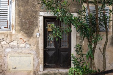 Brown wooden door in old city Motovun clipart