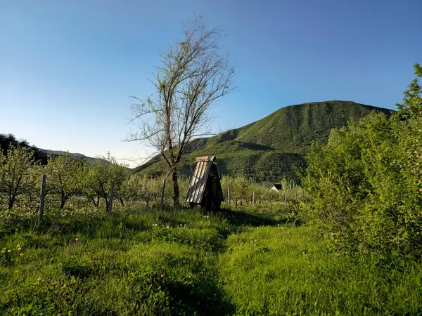 Yeşil tepe ve tarla. Bahar. İlkbaharın sonu. Kazakistan. Turgen. Kazakistan 'ın Doğası.