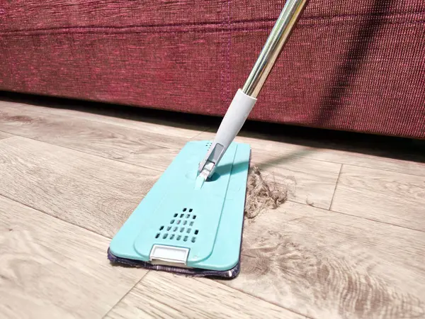 Yerleri paspaslamak için paspas. Ev temizliği. Paspaslama. Islak paspas. Yerde toz var. Toz temizleme, pislik. Evde temizlik, temiz zemin, kanepe, muşamba..