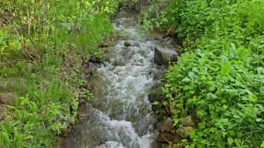 Nehir. Nehir akıyor. Su, doğa, yeşillik. Bahar. İlkbaharın sonu. Kazakistan. Turgen. Kazakistan 'ın Doğası.