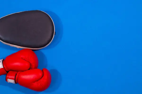 Kırmızı boks eldivenleri ve parlak mavi arka planda siyah bir odak eldiveni. Minimalist kompozisyon, boks ve dövüş sanatlarında yumruk isabetini, hızını ve tekniğini geliştirmek için kullanılan temel eğitim ekipmanlarını vurguluyor.