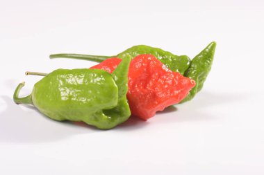 Hottest chile peppers Capsicum chinense isolated on white background. 