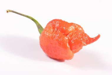 Carolina Reaper, en acı biber biberli chincum chinense, tüm olgun kabuk, beyaz arka planda izole. Süper sıcak ya da aşırı acı biber.