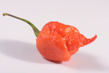 Carolina Reaper, en acı biber biberli chincum chinense, tüm olgun kabuk, beyaz arka planda izole. Süper sıcak ya da aşırı acı biber.