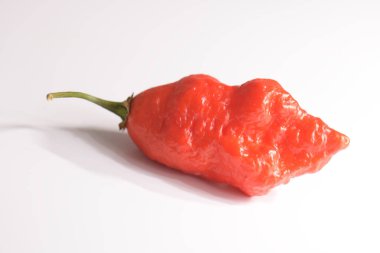 Carolina Reaper, en acı biber biberli chincum chinense, tüm olgun kabuk, beyaz arka planda izole. Süper sıcak ya da aşırı acı biber.