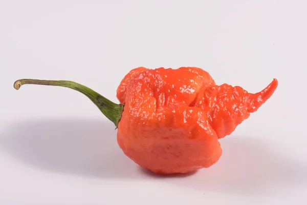 Carolina Reaper Hottest Chile Pepper Capsicum Chinense Whole Ripe Pod — Stock Photo, Image