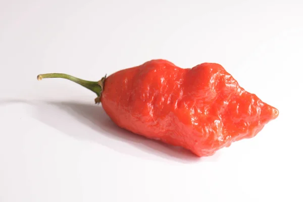 stock image Carolina Reaper, the hottest chile pepper Capsicum chinense, whole ripe pod, isolated on white background. Superhot or extremely hot chile pepper