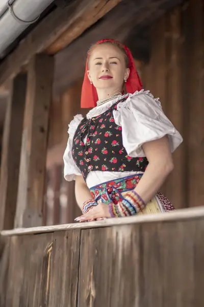 Красивая Девушка Фоне Украинской Национальной Одежды Национальной Одежды — стоковое фото