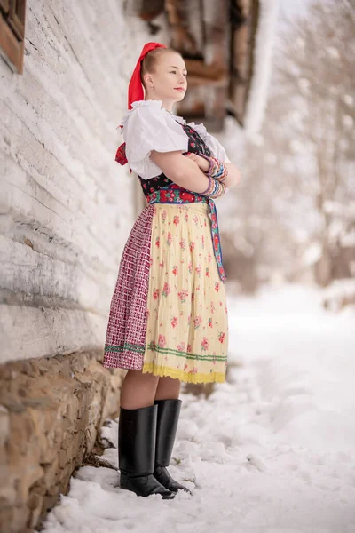 Ukrayna Nın Noel Ağaçlarının Yanındaki Köyde Geleneksel Ukrayna Ulusal Kostümlü — Stok fotoğraf