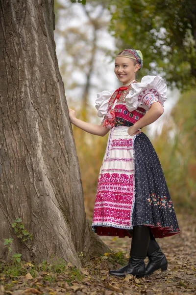 Όμορφη Γυναίκα Που Φοράει Παραδοσιακές Στολές Της Ανατολικής Ευρώπης Σλοβακικές Royalty Free Φωτογραφίες Αρχείου