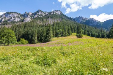 Podhale and Tatra Mountains. Photos was taken in summer. Poland, Malopolskie 