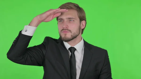 Young Adult Businessman Looking Searching Green Screen — ストック写真
