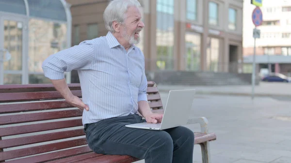 Senior Old Man with Back Pain Using Laptop while Sitting Outdoor on Bench