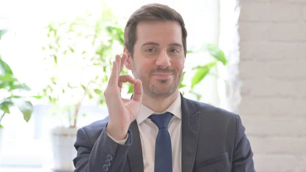 Satisfied Young Adult Businessman Showing Okay Sign — Foto Stock
