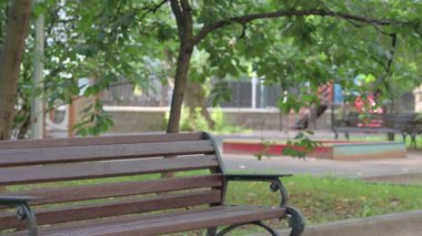 Kıdemli ihtiyar geliyor, Bench 'te oturuyor.