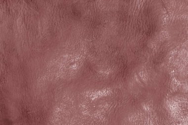 Beautiful red background with leather texture with red veins of red leather background as sample of red background from natural leather or sample of texture of leather for beautiful natural background