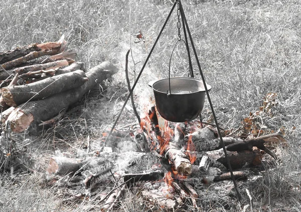森からの木材と良い天候で夏の鉄鍋で火においしいおいしい食べ物を調理 — ストック写真