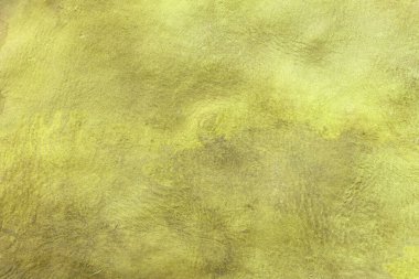 Beautiful golden background with leather texture with golden veins of golden leather background as sample of golden background from natural leather or texture of leather for beautiful background