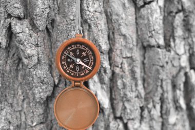 Pusula ile turizmin sembolü olarak doğal arka planda yuvarlak pusula ve pusula ile seyahat ve pusula ile açık hava aktiviteleri