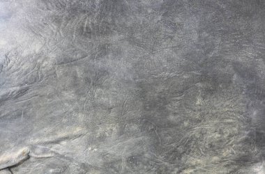 Güzel siyah arkaplan, deri desenli, siyah deri damarlı doğal deriden siyah arkaplan örneği ya da güzel doğal arka plan için deri dokusu örneği.