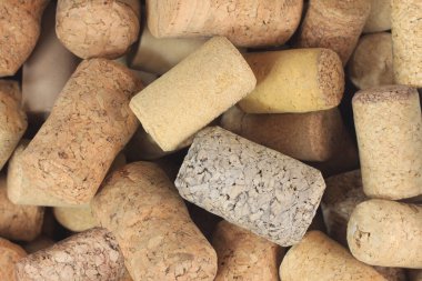 Wine corks isolated on white background close-up