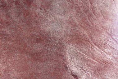 Beautiful red background with leather texture with red veins of red leather background as sample of red background from natural leather or sample of texture of leather for beautiful natural background