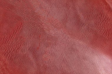 Beautiful red background with leather texture with red veins of red leather background as sample of red background from natural leather or sample of texture of leather for beautiful natural background