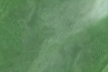 Yeşil deri damarları olan yeşil derili güzel yeşil arkaplan doğal deriden yeşil arkaplan örneği ya da güzel doğal arkaplan için deri dokusu örneği.