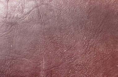 Beautiful red background with leather texture with red veins of red leather background as sample of red background from natural leather or sample of texture of leather for beautiful natural background
