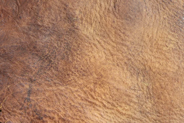brown background with leather texture with brown veins of brown leather background as sample of brown background from natural leather or sample of texture of leather for beautiful natural background