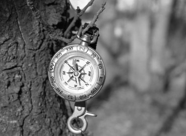 Pusula ile turizmin sembolü olarak doğal arka planda yuvarlak pusula ve pusula ile seyahat ve pusula ile açık hava aktiviteleri