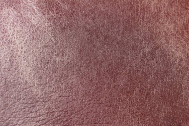 Beautiful red background with leather texture with red veins of red leather background as sample of red background from natural leather or sample of texture of leather for beautiful natural background
