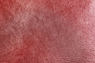 Beautiful red background with leather texture with red veins of red leather background as sample of red background from natural leather or sample of texture of leather for beautiful natural background