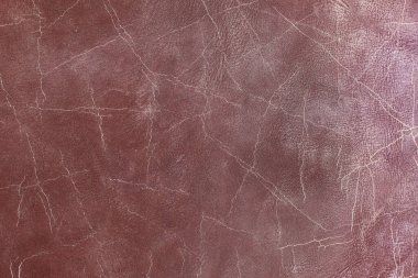 Beautiful red background with leather texture with red veins of red leather background as sample of red background from natural leather or sample of texture of leather for beautiful natural background