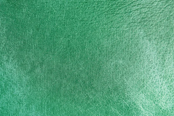 Beautiful green background with leather texture with green veins of green leather as sample of green background from natural leather or sample of texture of leather for beautiful natural background