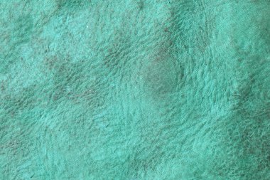 Yeşil deri damarları olan yeşil derili güzel yeşil arkaplan doğal deriden yeşil arkaplan örneği ya da güzel doğal arkaplan için deri dokusu örneği.